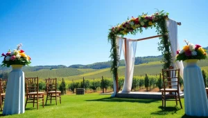 Couple celebrating their love at Clarksburg Wedding Venues surrounded by vineyards